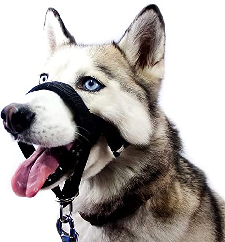 Kopfgeschirr für Hunde, Hundemaulkorb, Halfterhalsband Für Hunde, No-Pull Trainingswerkzeug für Hunde auf Spaziergängen, Kopfband für mittlere große Hunde. Fünf Größen (S) von ROFRA