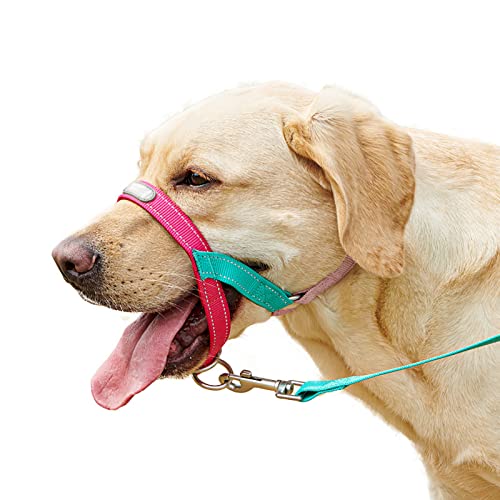Kopfhalsband Set, Hundekopfhalsband, Anti Pull Stop Hunde ziehen, Hundekopfhalsband mit gepolstertem Stoff, Hund ziehen Trainingswerkzeug, Reflektierender Streifen Design, mit Zugseil (1) von ROFRA