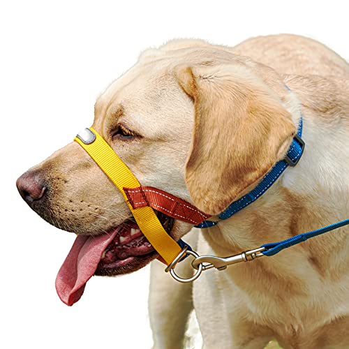 Kopfhalsband Set, Hundekopfhalsband, Anti Pull Stop Hunde ziehen, Hundekopfhalsband mit gepolstertem Stoff, Hund ziehen Trainingswerkzeug, Reflektierender Streifen Design, mit Zugseil (2) von ROFRA