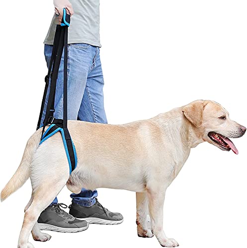 Portable Dog Lift Support Harness,Dog Lift Support Harness for Weak Rear Legs,K9 Large Dog Lift Harness,for Arthritis Rehabilitation Dogs (M) (XL) von ROFRA