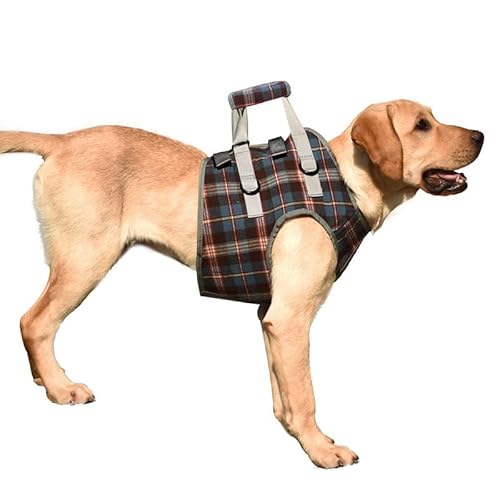 ROFRA Hund Vorder- und Hinterbein Recovery Sling, Hundestützgeschirr, Hundeschlaufe für Hinterbeine, für Hundehilfe und alte K9 Kreuzbandrehabilitation (Medium,Chest Blue) von ROFRA