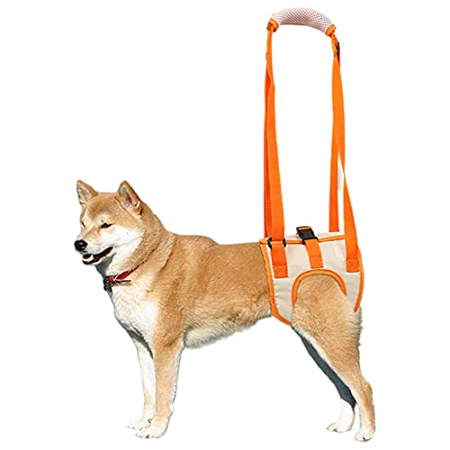 ROFRA Hundeschlinge für Hinterbeine, Hundestütze für Recovery Sling, Hund Hinterbein Unterstützung Rehabilitation, tragbare Hundeschlinge, ideal für Haustier Mobilität und ältere Hunde (S) von ROFRA