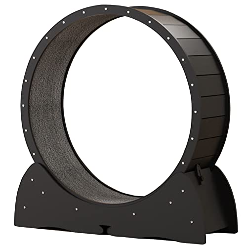 Cat-Laufband, Cat-Laufrad mit Sicherungsstift, Cat-Laufrad zur Gewichtsreduktion mit Laufbahn mit Teppich, No-Gap-Design, Großes Cat-Laufrad mit Geräuschlosen Rollen,Black-L Cat-Laufband, Cat-Laufrad mit Sicherungsstift, Cat-Laufrad zur Gewichtsreduktion mit Laufbahn mit Teppich, No-Gap-Design, Großes Cat-Laufrad mit Geräuschlosen Rollen,Black-L von ROGHA