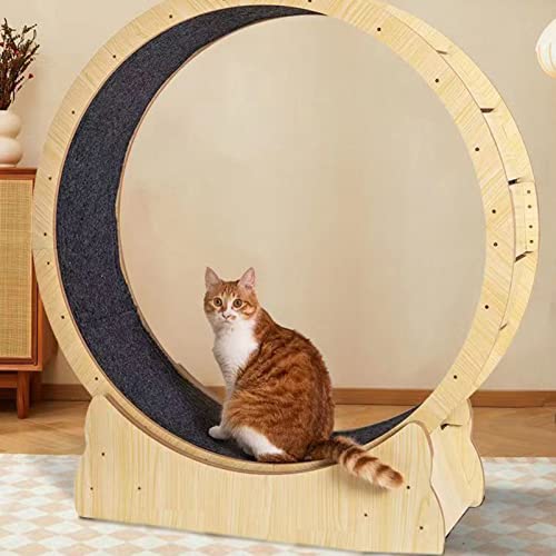 Katzenlaufrad,Natürliches Massivholz-Katzenlaufrad, mit Schlössern, Teppich, Katzenlaufmaschine Perfekt für Gewichtsverlust oder Energetische Katze,XL von ROGHA