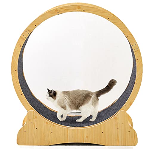 Katzenlaufrad Katzenlaufband mit No-Gap-Design, Laufrad für Wohnungskatzen, Sicherheits-Klemmschutz Leises Katzenlaufrad - Gerät zum Abnehmen für Katzen,L Katzenlaufrad Katzenlaufband mit No-Gap-Design, Laufrad für Wohnungskatzen, Sicherheits-Klemmschutz Leises Katzenlaufrad - Gerät zum Abnehmen für Katzen,L von ROGHA