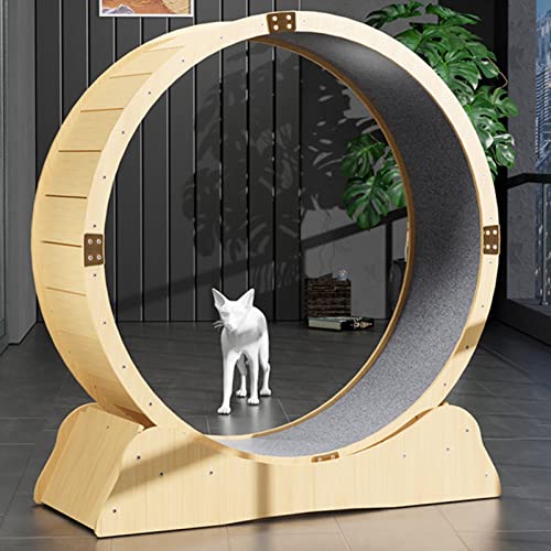 Katzenlaufrad für Wohnungskatzen, Leises Kleines Mittelgroßes Laufrad für Katzen, Kleine Lücke Haustier Katze Laufrad Spielzeug,S Katzenlaufrad für Wohnungskatzen, Leises Kleines Mittelgroßes Laufrad für Katzen, Kleine Lücke Haustier Katze Laufrad Spielzeug,S von ROGHA