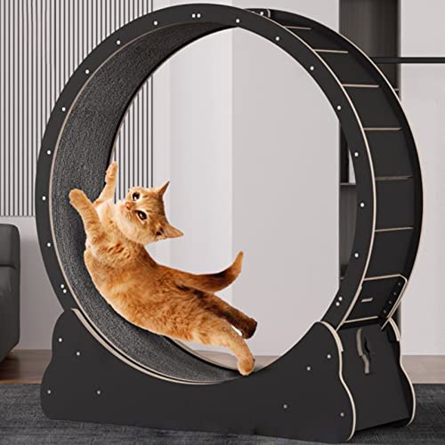 Katzenrad, Katzenlaufrad für den Innenbereich, Einfach zu Montierendes Katzenlaufband für Fitness und Gesundheit, Gerät zum Abnehmen von Katzen,Black-L Katzenrad, Katzenlaufrad für den Innenbereich, Einfach zu Montierendes Katzenlaufband für Fitness und Gesundheit, Gerät zum Abnehmen von Katzen,Black-L von ROGHA