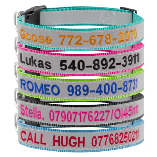 Hundehalsband, personalisierbar mit Haustiernamen und Telefonnummer, reflektierender Streifen und Schnalle, verstellbar, erhältlich in XS, S, M, L Hundehalsband, personalisierbar mit Haustiernamen und Telefonnummer, reflektierender Streifen und Schnalle, verstellbar, erhältlich in XS, S, M, L von ROKHEVN