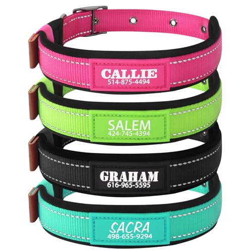 Hundehalsband mit Namen und Telefonnummer – atmungsaktives Nylon-Material, weiches Neopren-Futter, reflektierende Streifen, Metall-Gürtelschnalle, personalisiertes Haustierhalsband, verstellbar von ROKHEVN