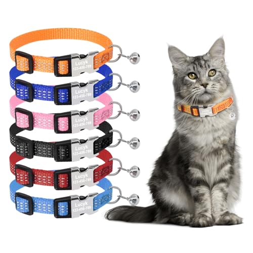 Katzenhalsband mit personalisierbarem Namen und Telefon, reflektierender Streifen und Glocke, 20–29 cm, verstellbare Schnalle, Nylonhalsband von ROKHEVN