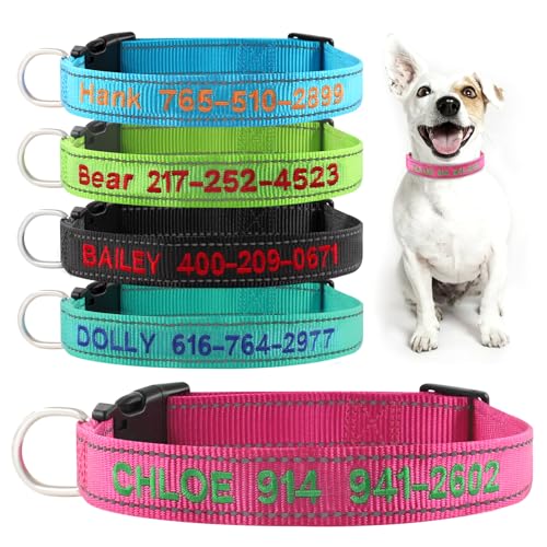 Personalisierbares Hundehalsband, reflektierendes Nylon, mit personalisiertem Namen und Telefon, Schnellverschluss-Schnalle, 4 verstellbare Größen, XS, S, M, L Personalisierbares Hundehalsband, reflektierendes Nylon, mit personalisiertem Namen und Telefon, Schnellverschluss-Schnalle, 4 verstellbare Größen, XS, S, M, L von ROKHEVN