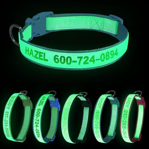 Personalisiertes, im Dunkeln leuchtendes besticktes Hundehalsband, leuchtendes Hundehalsband mit Namen und Nummer, fluoreszierendes leuchtendes Hundehalsband für die Nacht, verstellbare Länge, passend Personalisiertes, im Dunkeln leuchtendes besticktes Hundehalsband, leuchtendes Hundehalsband mit Namen und Nummer, fluoreszierendes leuchtendes Hundehalsband für die Nacht, verstellbare Länge, passend von ROKHEVN
