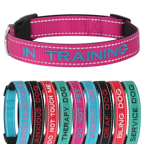 Reflektierendes, besticktes Hundehalsband, verstellbar, Nylon mit D-Ring, Schnellverschluss, Neopren-Pad, atmungsaktiv, personalisierbar mit Name und Nummer, mehrere Größen, XS-S-M-L Reflektierendes, besticktes Hundehalsband, verstellbar, Nylon mit D-Ring, Schnellverschluss, Neopren-Pad, atmungsaktiv, personalisierbar mit Name und Nummer, mehrere Größen, XS-S-M-L von ROKHEVN