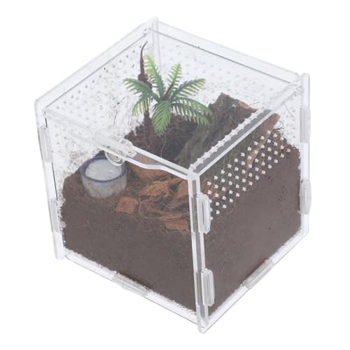ROMISBABA 1satz Transparente Zuchtbox Für Springspinnen Atmungsaktiv Aus Bruchsicherem Acryl Terrarium Für Insekten Futterbox Für Reptilien Einfache Beobachtung Und Pflege ROMISBABA 1satz Transparente Zuchtbox Für Springspinnen Atmungsaktiv Aus Bruchsicherem Acryl Terrarium Für Insekten Futterbox Für Reptilien Einfache Beobachtung Und Pflege von ROMISBABA