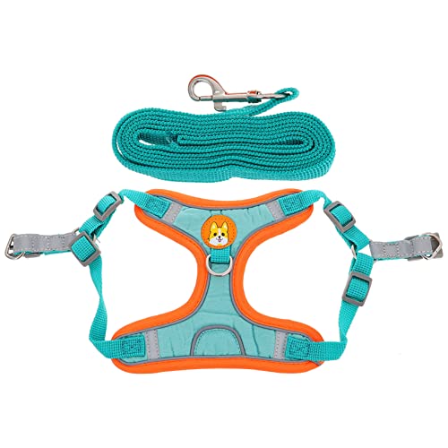 ROMISBABA 1 Satz Transportbox für Haustiere hundesicherheitsgeschirre hundesicherheitsgurt gepolstert kleines hundegeschirr groß Seilweste zum Führen von Hunden Diensthundegeschirr Tuch Blue von ROMISBABA