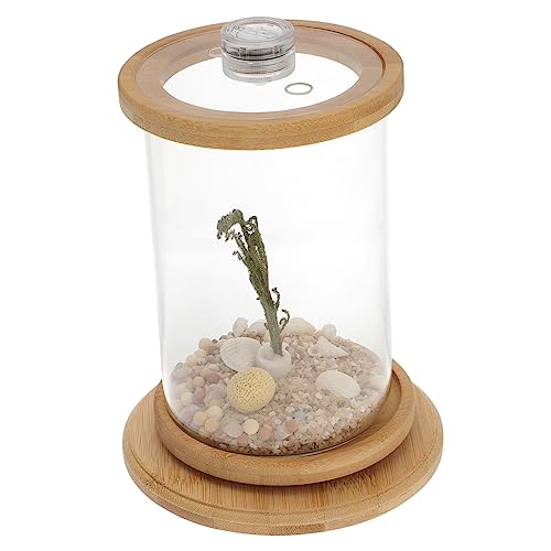 ROMISBABA Elegantes Dekoratives Aquarium-Set -leuchten 1 Set Glas-Aquarium-Dekorationen Für Den Schreibtisch Im Home Office ROMISBABA Elegantes Dekoratives Aquarium-Set -leuchten 1 Set Glas-Aquarium-Dekorationen Für Den Schreibtisch Im Home Office von ROMISBABA