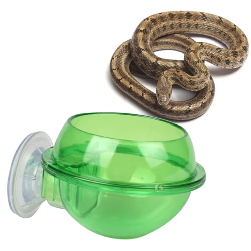ROMISBABA 1 Stück Futterspender für Eidechsenfutter Suction Cup saugnäpfe small Animal Food Kleintierfutter saugnapfhalterung Kleiner Trinknapf für Haustiere Schildkröten-Trinkschale Green von ROMISBABA