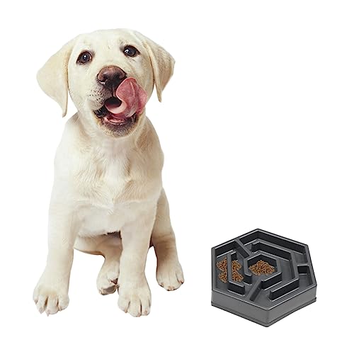 ROMISBABA 1Stk kreativer Futternapf für Haustiere Futternapf für Hunde, langsames Futter Fütterung Futterspender Wurf pet Supplies hundekot Futternapf für Katzen Haustiernapf Grey ROMISBABA 1Stk kreativer Futternapf für Haustiere Futternapf für Hunde, langsames Futter Fütterung Futterspender Wurf pet Supplies hundekot Futternapf für Katzen Haustiernapf Grey von ROMISBABA