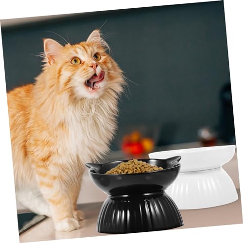 ROMISBABA 2 Sätze Teiliges Erhöhter Katzennapf aus Keramik mit Rutschfestem Boden Spülmaschinenfest Ergonomisches Design zur Sauberen Fütterung von Katzen und Kleinen Hunden Verschüttet ROMISBABA 2 Sätze Teiliges Erhöhter Katzennapf aus Keramik mit Rutschfestem Boden Spülmaschinenfest Ergonomisches Design zur Sauberen Fütterung von Katzen und Kleinen Hunden Verschüttet von ROMISBABA
