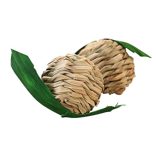 ROMISBABA 2 Stück Strohballen für Haustiere klein Heu Kaninchen Hasen Toys for small Animals Meerschweinchen Kauspielzeug Haustiermolarspielzeug zum Beißen von Papageien Gras von ROMISBABA