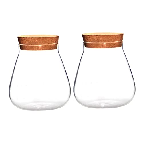 ROMISBABA 2 Stück Teiliges Klare Glasflaschen mit Korkverschluss Ökologische Vasen für Wasserkultur und Dekoration Robuste Glasbehälter für Pflanzen und Kleine Aufbewahrung für Zuhause und ROMISBABA 2 Stück Teiliges Klare Glasflaschen mit Korkverschluss Ökologische Vasen für Wasserkultur und Dekoration Robuste Glasbehälter für Pflanzen und Kleine Aufbewahrung für Zuhause und von ROMISBABA