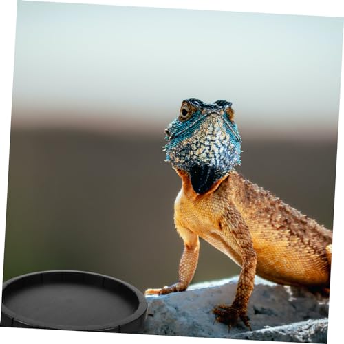 ROMISBABA 2 Stück Teiliges Rundes Futterschalen für Reptilien und Kleine Haustiere Gnaw Langlebiges Material Vielseitig für Trockenfutter und Snacks Geeignet als Trink und Futternapf im ROMISBABA 2 Stück Teiliges Rundes Futterschalen für Reptilien und Kleine Haustiere Gnaw Langlebiges Material Vielseitig für Trockenfutter und Snacks Geeignet als Trink und Futternapf im von ROMISBABA