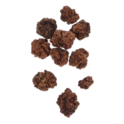 ROMISBABA 20 STK Beißball Für Haustiere Spielzeug Reinigen Katzenminze Stick Kauball Für Haustiere Kauball Für Katzen Zähneknirschende Kauspielzeuge Katze Katzenminze Spielzeug Katzenranke ROMISBABA 20 STK Beißball Für Haustiere Spielzeug Reinigen Katzenminze Stick Kauball Für Haustiere Kauball Für Katzen Zähneknirschende Kauspielzeuge Katze Katzenminze Spielzeug Katzenranke von ROMISBABA
