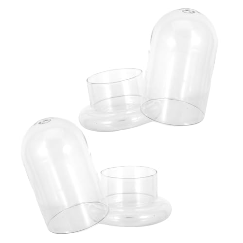 ROMISBABA 2Stücke Glasflasche für Ökologische Mikrolandschaften DIY Terrarium mit Langlebige Dekoration für Bürogestaltung für Besondere ROMISBABA 2Stücke Glasflasche für Ökologische Mikrolandschaften DIY Terrarium mit Langlebige Dekoration für Bürogestaltung für Besondere von ROMISBABA