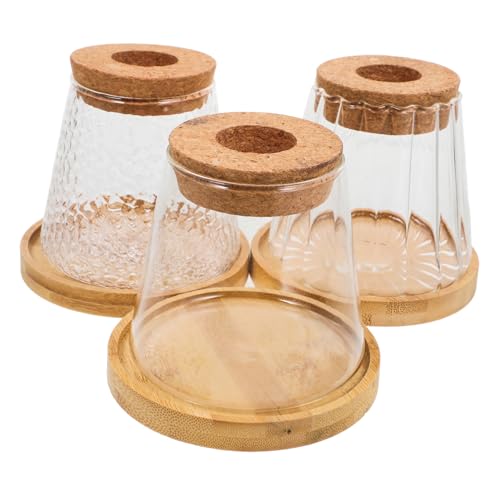 ROMISBABA 3 Sets Hydrokultur Flasche Pflanzer Glas Pflanze Vase mit Kork Basis Landschaft Vase für Büro ROMISBABA 3 Sets Hydrokultur Flasche Pflanzer Glas Pflanze Vase mit Kork Basis Landschaft Vase für Büro von ROMISBABA