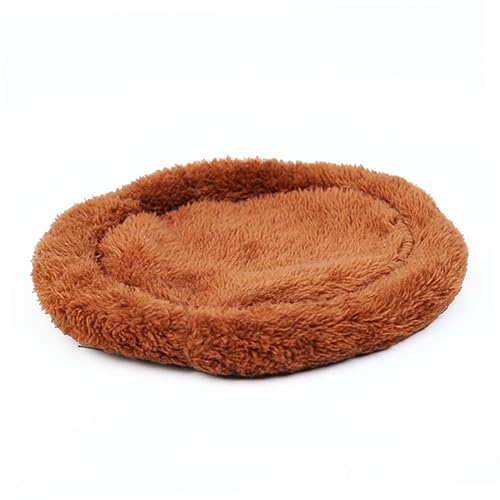 ROMISBABA 3 Stück Hamsterbett warm drinnen Wurf groß Bettwäsche Kaninchen Haustier Meerschweinchen Hamsterkissen Hamster-Pad-Bett ROMISBABA 3 Stück Hamsterbett warm drinnen Wurf groß Bettwäsche Kaninchen Haustier Meerschweinchen Hamsterkissen Hamster-Pad-Bett von ROMISBABA