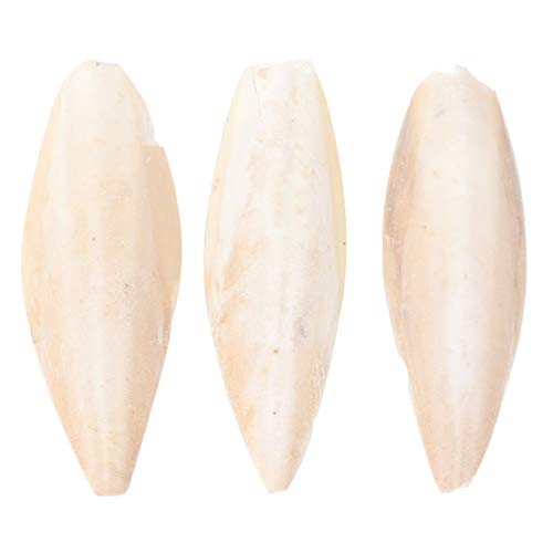 ROMISBABA 3stücke Cuttlebone Spielzeug Für Papageien Hängend Zähne Schleifen Und Kalziumzufuhr Für Kleine Haustiere Für Vögel Und Nager ROMISBABA 3stücke Cuttlebone Spielzeug Für Papageien Hängend Zähne Schleifen Und Kalziumzufuhr Für Kleine Haustiere Für Vögel Und Nager von ROMISBABA