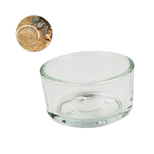 ROMISBABA 4 Stück Glasschale für Tiernahrung Gecko-Zubehör Accessoires für Bartagamen Reptilien wasserschale Glasfutterbehälter Reptilien-Futternapf für Haustiere Pet Reptile Feeder ROMISBABA 4 Stück Glasschale für Tiernahrung Gecko-Zubehör Accessoires für Bartagamen Reptilien wasserschale Glasfutterbehälter Reptilien-Futternapf für Haustiere Pet Reptile Feeder von ROMISBABA