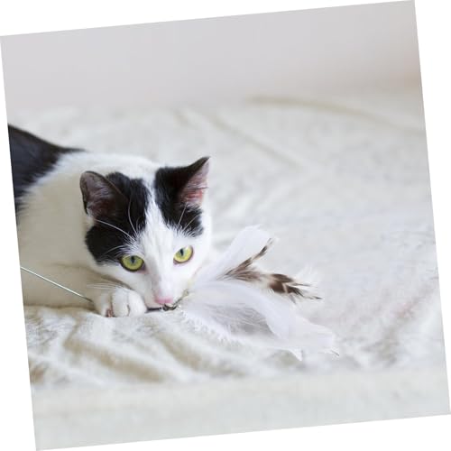 ROMISBABA 4 Stück Teiliges Katzenspielzeug Ersatz Federn Kompatibel mit Katzenangel Sichere Nachfüllungen für Interaktives Spiel für Hauskatzen und Kätzchen Einfach Austauschbar und von ROMISBABA