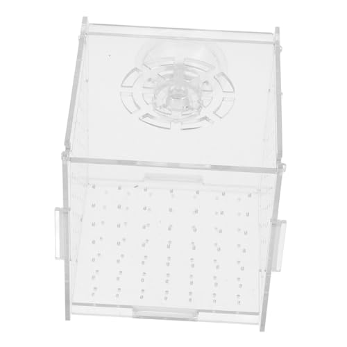ROMISBABA Hydrokultur-Aquarium-Isolationsnetz mit Saugnäpfen Fischzuchtbox für Babyfische Grillenzuchtbox ROMISBABA Hydrokultur-Aquarium-Isolationsnetz mit Saugnäpfen Fischzuchtbox für Babyfische Grillenzuchtbox von ROMISBABA