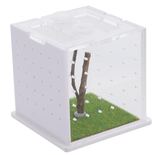 ROMISBABA Acryl-luftbefeuchter Für Springspinnen-futterbox Zur Beobachtung des Insektenlebensraums von ROMISBABA