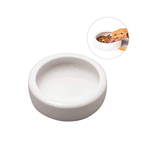 ROMISBABA Crawling Pet Futterschale Ausbruchsichere Keramikschüssel für Garnelen und Fische rutschfest Vielseitig Einsetzbar ROMISBABA Crawling Pet Futterschale Ausbruchsichere Keramikschüssel für Garnelen und Fische rutschfest Vielseitig Einsetzbar von ROMISBABA