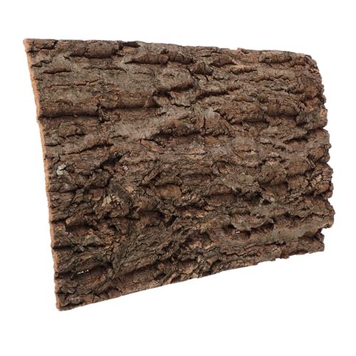 ROMISBABA Reptil Tank Hintergrund 20x30cm Rinde Bord Kork Decor Natürliche Reptil Klettern ROMISBABA Reptil Tank Hintergrund 20x30cm Rinde Bord Kork Decor Natürliche Reptil Klettern von ROMISBABA