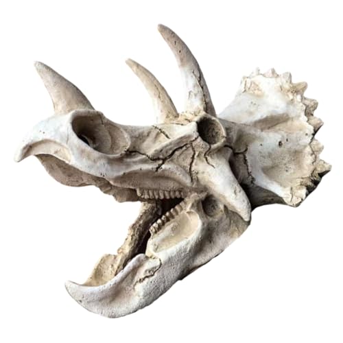 ROMISBABA Dinosaur Skull Dekoration aus Harz Triceratops Kopf Ornament für Aquarien Kreative Fischbehälterlandschaft Tisch und Büroschmuckstücke Robust und ROMISBABA Dinosaur Skull Dekoration aus Harz Triceratops Kopf Ornament für Aquarien Kreative Fischbehälterlandschaft Tisch und Büroschmuckstücke Robust und von ROMISBABA
