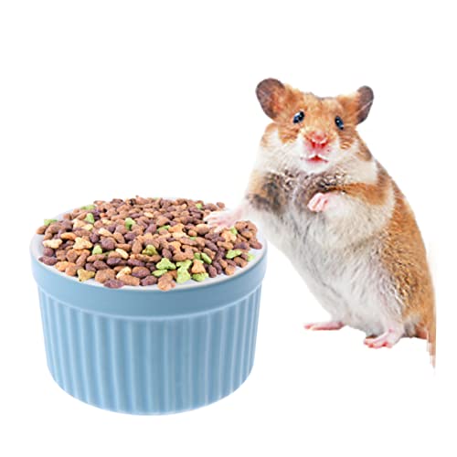 ROMISBABA Futternapf für Haustiere Keramik rund für Hamster Kaninchen Blau 1 Stück ROMISBABA Futternapf für Haustiere Keramik rund für Hamster Kaninchen Blau 1 Stück von ROMISBABA