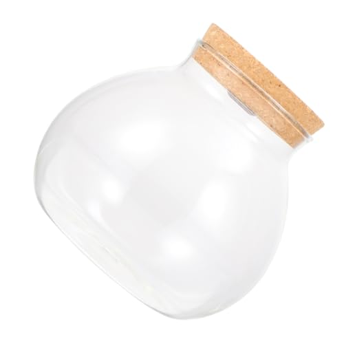 ROMISBABA Glas Terrarium Pflanzgefäß mit Korkdeckel und LED Licht Rundes Hydroponisches Glasvasen für Pflanzenvermehrung Dekorative Propagationsstation für Innenräume ROMISBABA Glas Terrarium Pflanzgefäß mit Korkdeckel und LED Licht Rundes Hydroponisches Glasvasen für Pflanzenvermehrung Dekorative Propagationsstation für Innenräume von ROMISBABA