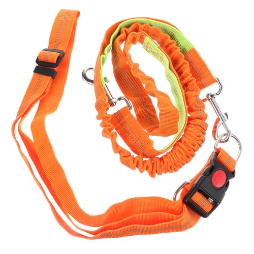 ROMISBABA Haustierleine Hundeleinentraining einstellbar Kragen groß für elastische hundeleine hundegurt Hundegeschirr mit Gummizug Hundehalsband Leine Haustierbedarf Nylon Orange von ROMISBABA