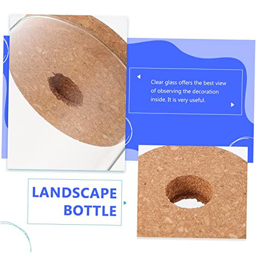 ROMISBABA Hochborosilikatglas Terrarium Flasche DIY Landschaft Behälter für Sukkulenten Moos Pflanze Dekoration Büro ROMISBABA Hochborosilikatglas Terrarium Flasche DIY Landschaft Behälter für Sukkulenten Moos Pflanze Dekoration Büro von ROMISBABA