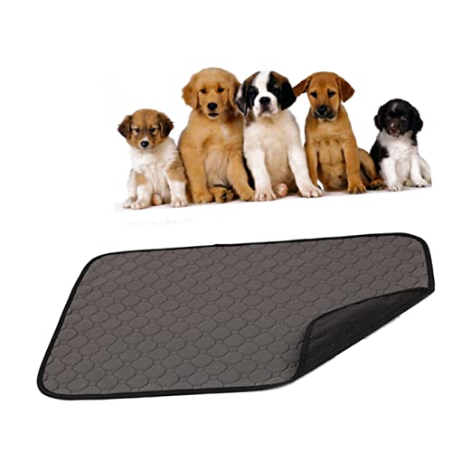 ROMISBABA Waschbare Hunde-PIPI-Unterlage S Grau Haustier-Trainingsunterlage Wasserdicht Wiederverwendbar rutschfest für Katzen Hunde ROMISBABA Waschbare Hunde-PIPI-Unterlage S Grau Haustier-Trainingsunterlage Wasserdicht Wiederverwendbar rutschfest für Katzen Hunde von ROMISBABA