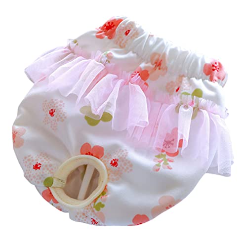 ROMISBABA Hundephysiologische Hosen Hundepflegeset Hundedecke Vlies Windeln hundewindel Dog Diapers Hundeslip für Umweltschutz Hygienehöschen für Welpen Welpenschutzhose Polyester ROMISBABA Hundephysiologische Hosen Hundepflegeset Hundedecke Vlies Windeln hundewindel Dog Diapers Hundeslip für Umweltschutz Hygienehöschen für Welpen Welpenschutzhose Polyester von ROMISBABA