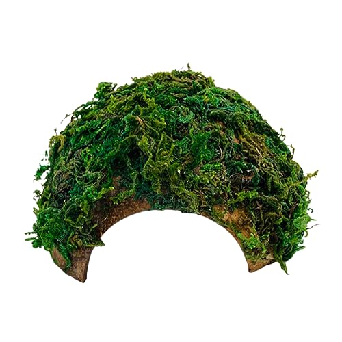 ROMISBABA Kasten Reptilienversteckhaus Höhle extra großes Reptilienfell Hamster Dekoration für Terrarium Reptilien Versteck Reptilien Unterschlupf Terrariumverzierung Kokosnussschale Green ROMISBABA Kasten Reptilienversteckhaus Höhle extra großes Reptilienfell Hamster Dekoration für Terrarium Reptilien Versteck Reptilien Unterschlupf Terrariumverzierung Kokosnussschale Green von ROMISBABA