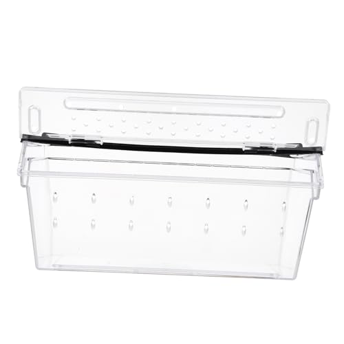 ROMISBABA Kasten Terrarium Fischnetz Fischfutter Kleines Aquarium Zubehör Für Reptilien Terrarienset Leopard Gecko Tank Zubehör Schneckenaquarium Reptiliengehege Frosch-Panzer Plastik Black ROMISBABA Kasten Terrarium Fischnetz Fischfutter Kleines Aquarium Zubehör Für Reptilien Terrarienset Leopard Gecko Tank Zubehör Schneckenaquarium Reptiliengehege Frosch-Panzer Plastik Black von ROMISBABA