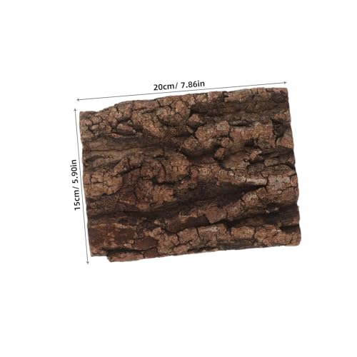 ROMISBABA Natürlicher Korkrinden Hintergrund Terrarium Deko Kletterwand für Reptilien Gecko Vogelspinne Schildkröte Bartagame Natürlicher Baumrinden Rückwand ROMISBABA Natürlicher Korkrinden Hintergrund Terrarium Deko Kletterwand für Reptilien Gecko Vogelspinne Schildkröte Bartagame Natürlicher Baumrinden Rückwand von ROMISBABA