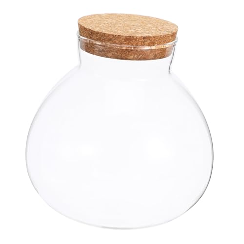ROMISBABA Ökologisches Glasgefäß mit Korkdeckel Mikrolandschaftsflasche zur Heimdekoration und Aufbewahrung für Kreative Bastelprojekte und Pflanzenarrangements ROMISBABA Ökologisches Glasgefäß mit Korkdeckel Mikrolandschaftsflasche zur Heimdekoration und Aufbewahrung für Kreative Bastelprojekte und Pflanzenarrangements von ROMISBABA