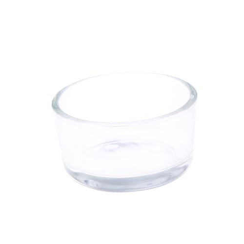 ROMISBABA Reptilienfutternapf aus Glas Schlangenwasserschale Schildkröte Wasser- klein Essen Reptile Feeding Bowl Ornamental Supplies for Reptiles Lebensmittel Futterbecken für Reptilien von ROMISBABA