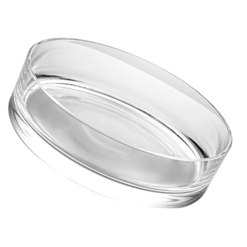 ROMISBABA Transparente Glasvase Terrarium Runder Hydroponik Glasblumentopf Langlebig und Dekorativ für Zimmerpflanzen Hochzeit und Tischdekoration ROMISBABA Transparente Glasvase Terrarium Runder Hydroponik Glasblumentopf Langlebig und Dekorativ für Zimmerpflanzen Hochzeit und Tischdekoration von ROMISBABA